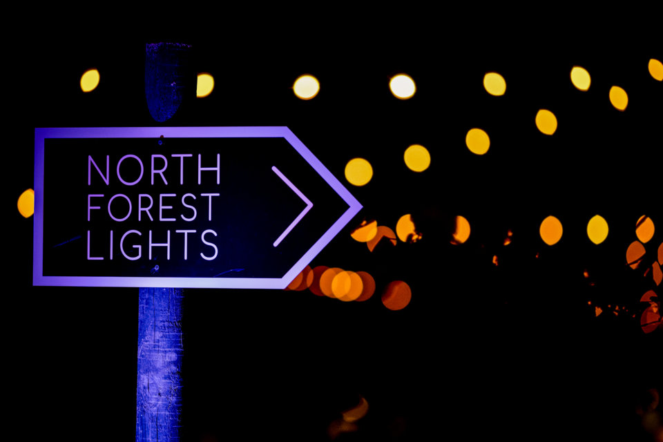 North Forest Lights, immersive light and sound installations in the