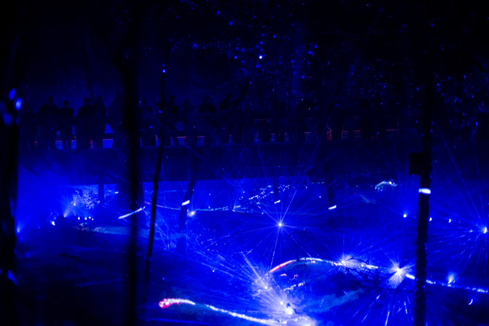 North Forest Lights, immersive light and sound installations in the